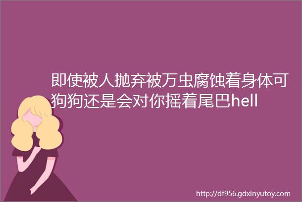 即使被人抛弃被万虫腐蚀着身体可狗狗还是会对你摇着尾巴hellip