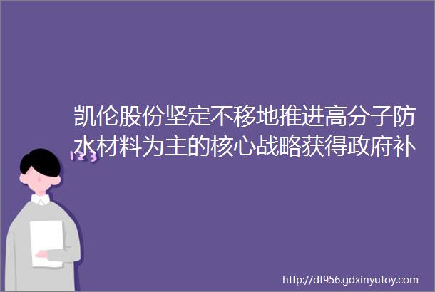 凯伦股份坚定不移地推进高分子防水材料为主的核心战略获得政府补助资金人民币192285万元