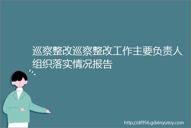 巡察整改巡察整改工作主要负责人组织落实情况报告